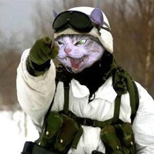 Meet your Posher, Keyla